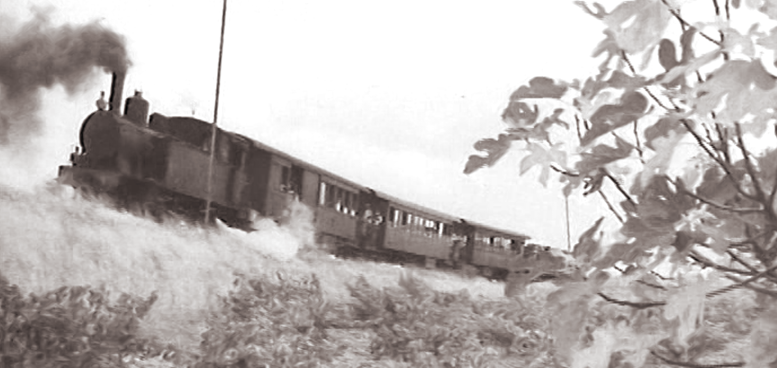 Tren a vapor circulando por los campos de Villamanta durante el rodaje de Salario para matar

